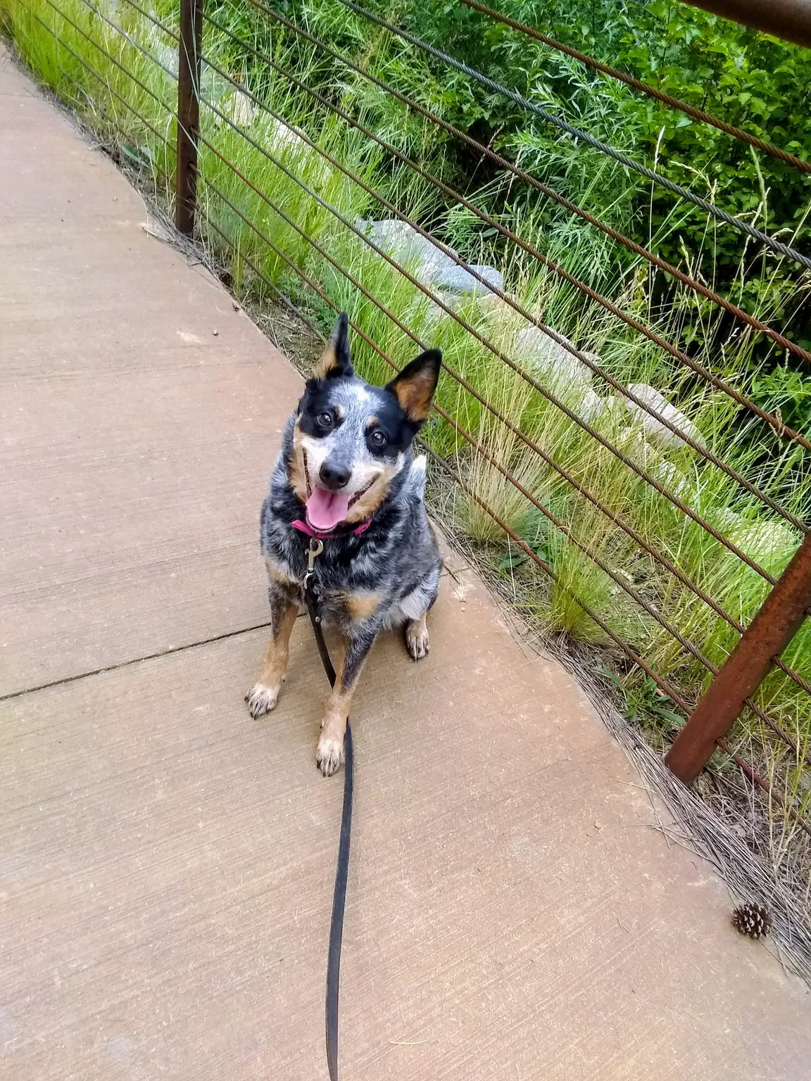 Solo Walks